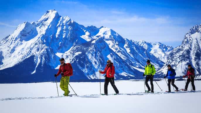 grand teton national park 4hour easy snowshoeing tour
