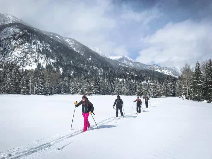 Grand Teton National Park 4Hour Easy Snowshoeing Tour GetYourGuide