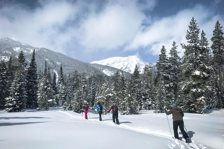 Grand Teton National Park: 4-Hour Easy Snowshoeing Tour Private Tour up to 5 Guests
