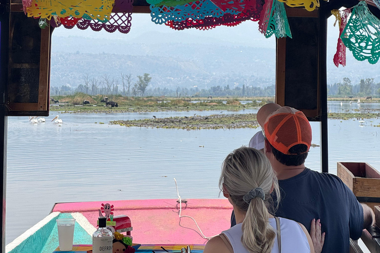 Xochimilco: Sanctuary of the Ajolote Axolotl