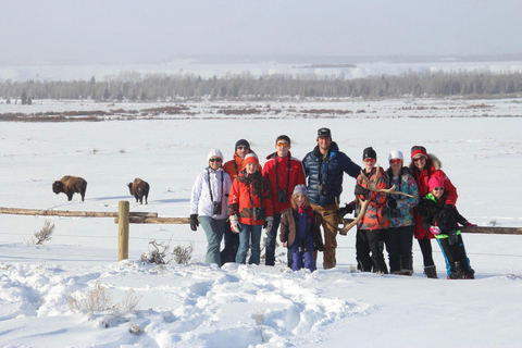 From Jackson: 4-Hour Eco Safari in Grand Teton National Park Sunset Grand Teton Wildlife Tour