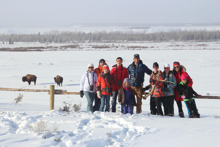 From Jackson: 4-Hour Eco Safari in Grand Teton National Park Sunset Grand Teton Wildlife Tour