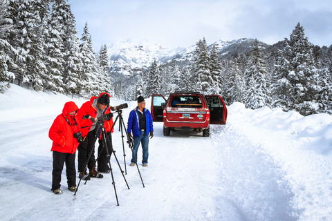 From Jackson: 4-Hour Eco Safari in Grand Teton National Park Sunset Grand Teton Wildlife Tour