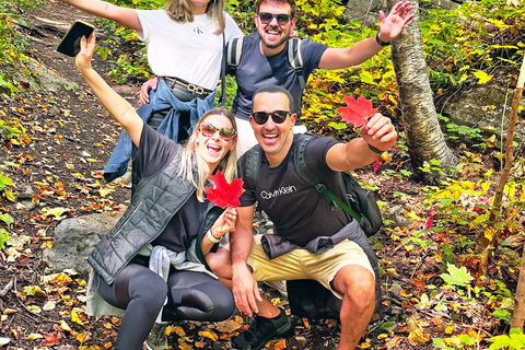 Montreal&#039;s Mount Royal Tour