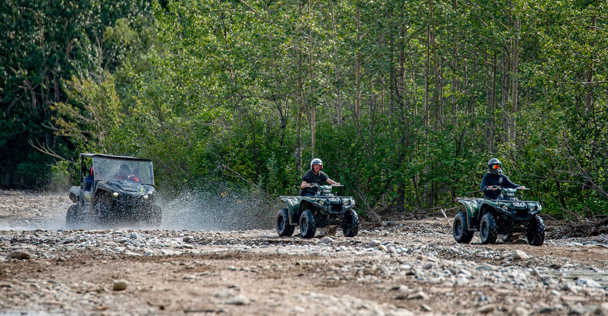 Denali National Park, Wilderness ATV Adventure - Housity