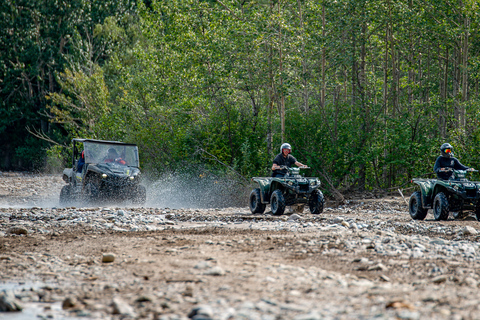 Denali ATV Wilderness Adventure - Guided ATV Tour Enclosed Side by Side ATV - 2 passengers