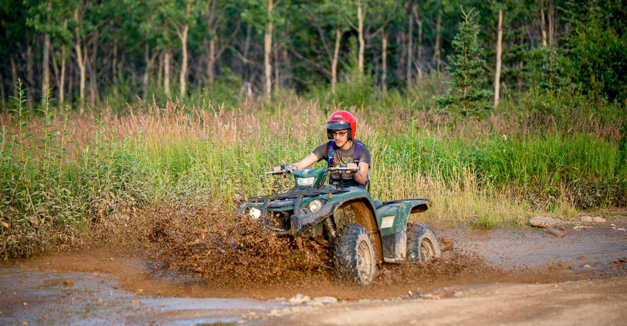 Denali National Park, Wilderness ATV Adventure - Housity