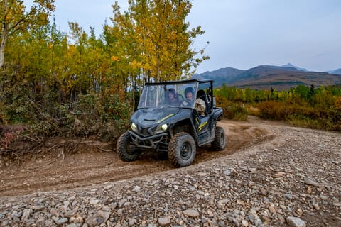 Denali National Park: Wilderness ATV Adventure