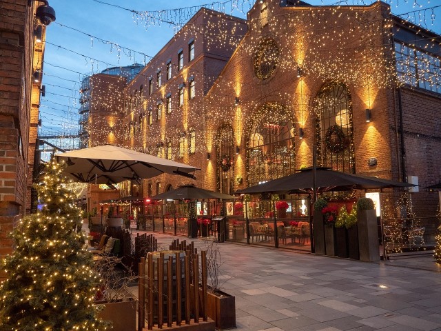 Visit Oslo Christmas Tour (with gløgg and Christmas sweets) in Oslo