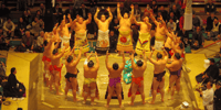 Tokyo, Sumo Wrestling Tournament Ticket with Guide - Housity