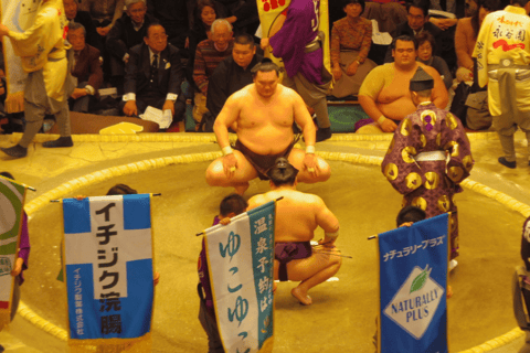 Tokyo : Tournoi de Sumo avec des billets de siège de chaiseChaise A Sièges