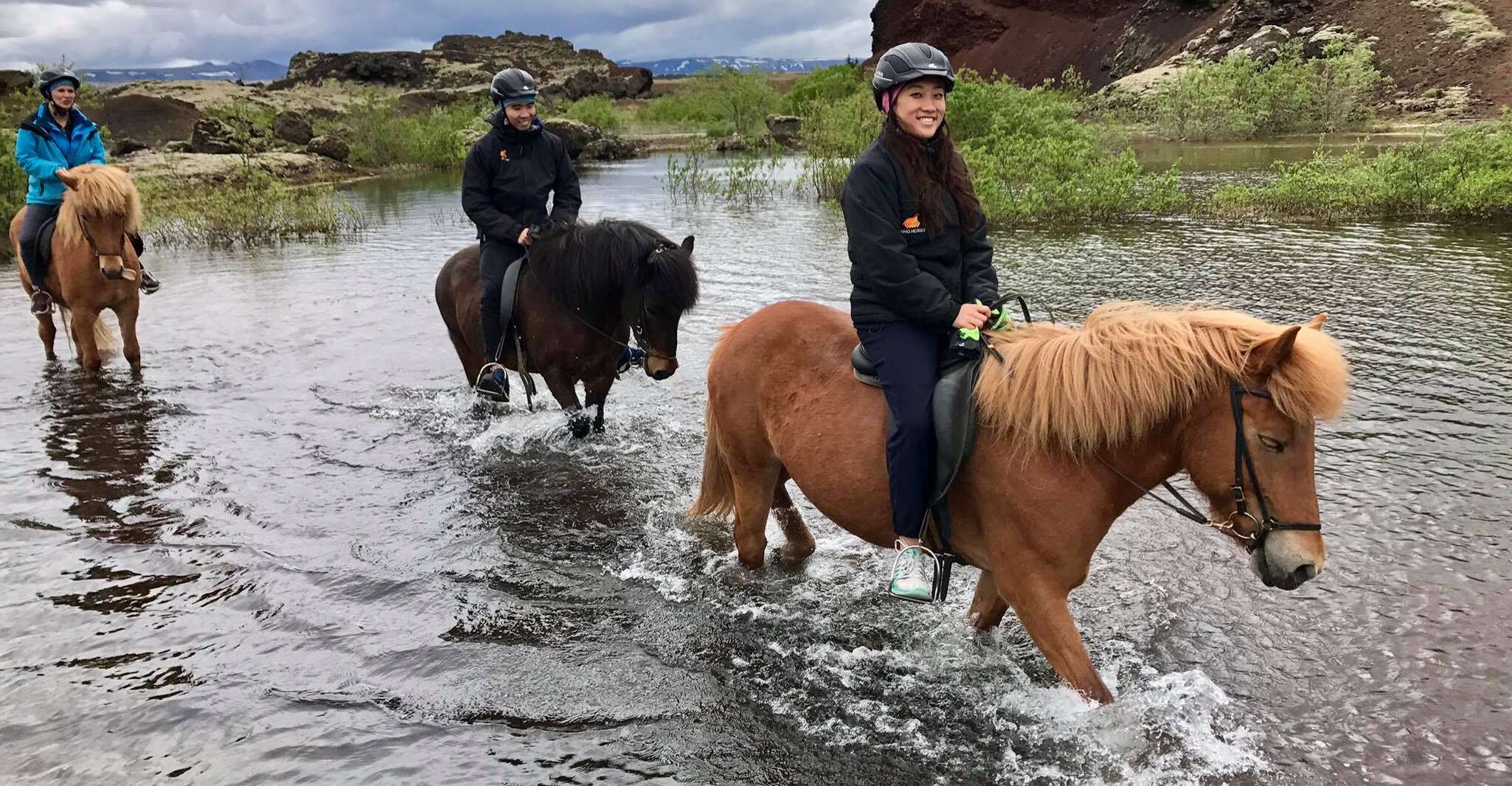 From Reykjavik, Small-Group Horse Riding Tour with Pickup - Housity