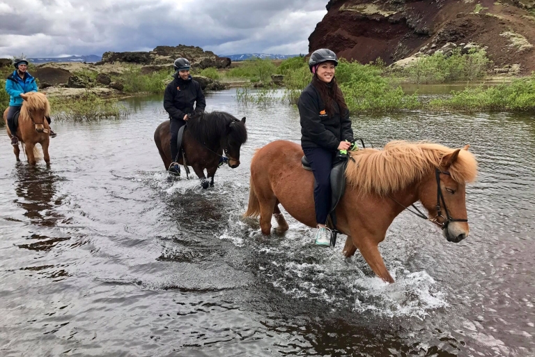 Vanuit Rekjavik: paardrijtocht in kleine groep