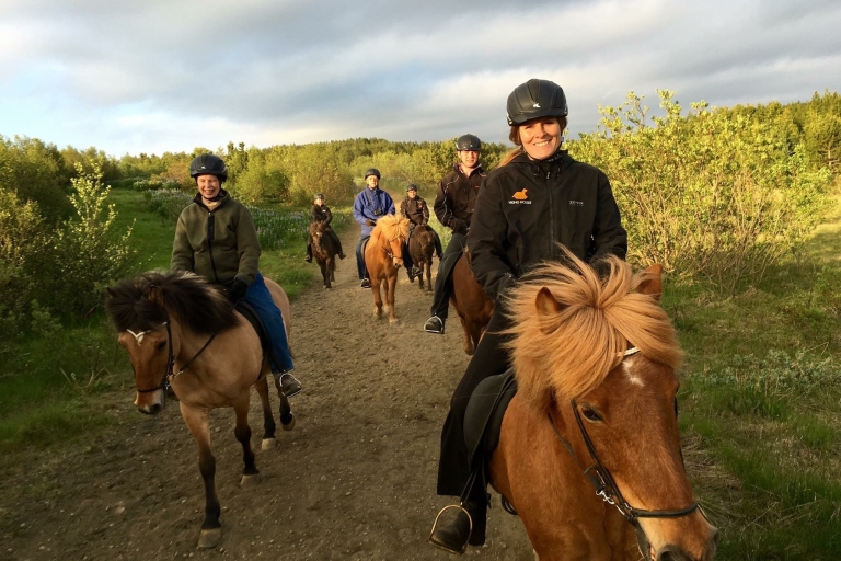 Vanuit Rekjavik: paardrijtocht in kleine groep