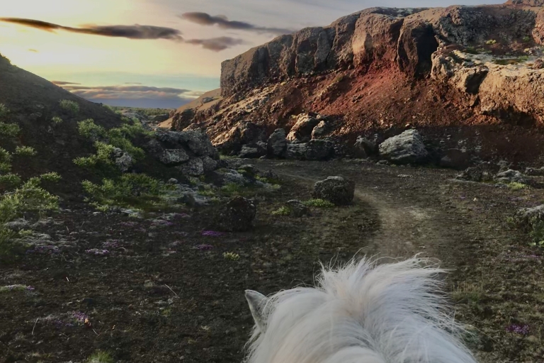 From Rekjavik: Small-Group Horse Riding Tour