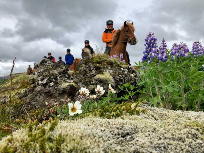 Vanuit Reykjavik: paardrijtocht in kleine groep met pick-up