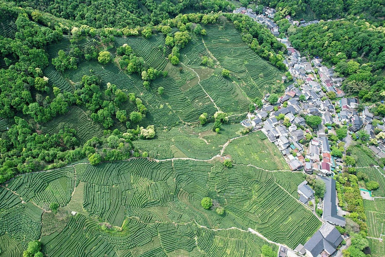 Shanghai: West Lake Hills & Tea Gardens Private Day Trip