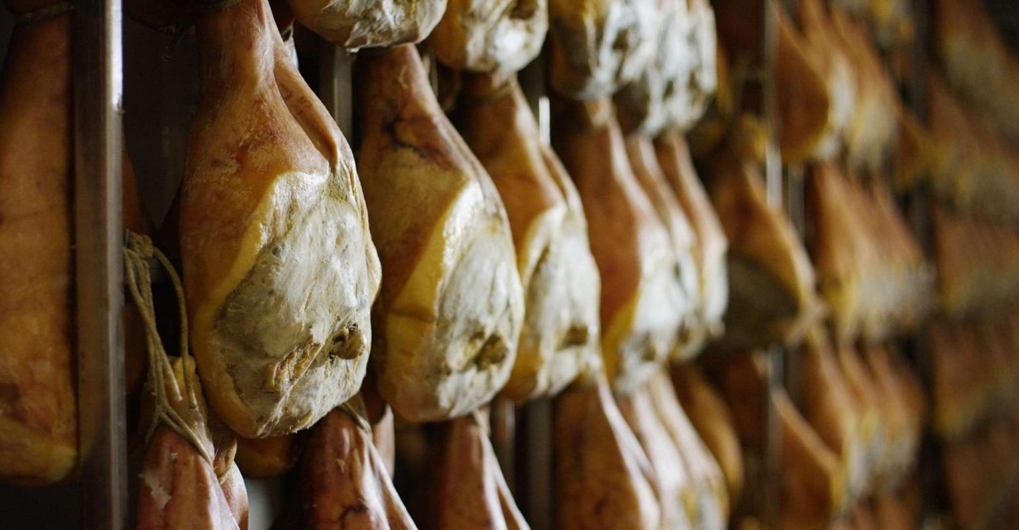 From Parma, Parmigiano and Parma Ham Guided Food Tour - Housity