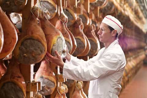 From Parma: Parma Ham Farm Tour and Tasting