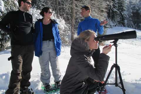megève wildlife observation snowshoeing trek