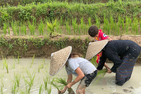Luang Prabang: Rice Farm, Fishing & Picnic Experience
