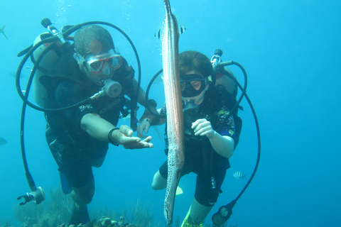 First Time Scuba Diving Experience in Punta Cana