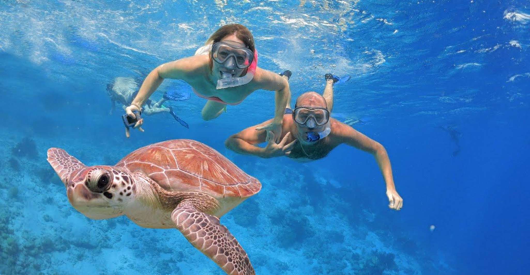 All Include Snorkeling at Menjangan Island - Housity