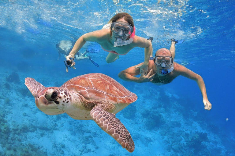 Todos incluem mergulho com snorkel na Ilha Menjangan