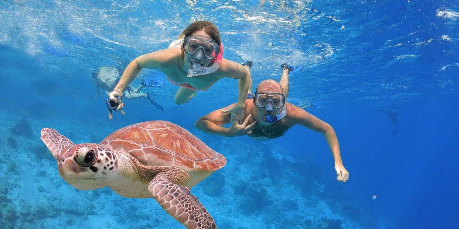 Bali snorkeling tour — underwater marine life and coral reefs — image 3