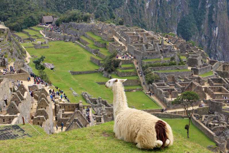 Lima: 9-Day Peru Express with Ica, Cusco, and Puno
