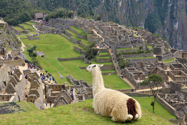 Lima: 9-tägiger Peru Express mit Ica, Cusco und PunoStandard Option