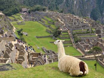 Lima: 9-tägiger Peru Express mit Ica, Cusco und Puno Lima: 9-tägiger Peru Express mit Ica, Cusco und Puno