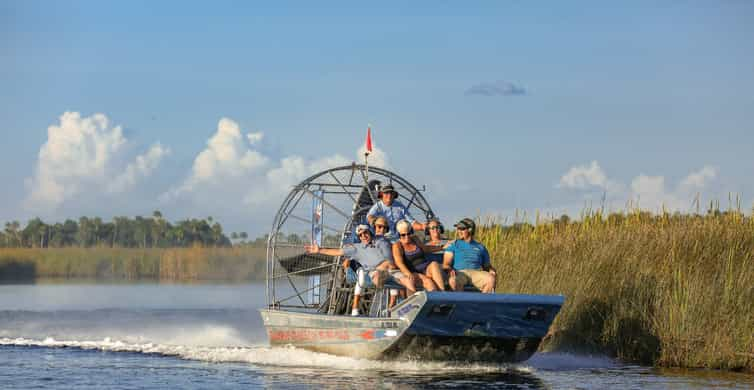 Crystal River: Snorkel with Manatees & Dolphin Airboat Trip | GetYourGuide