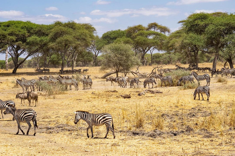 2-days safari adventure to Nyerere from Zanzibar by flight