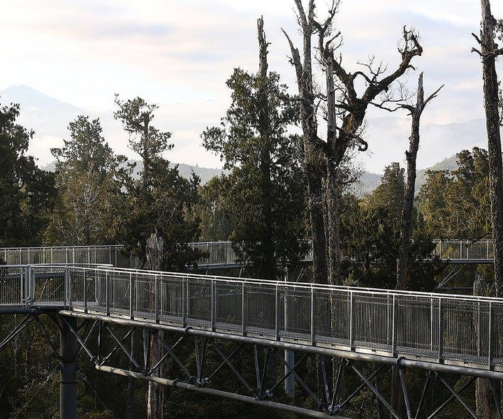 Hokitika: biglietto d'ingresso per la passerella tra le cime degli alberi della costa occidentale