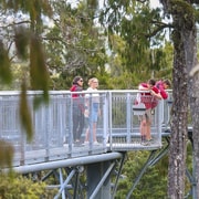 Hokitika: West Coast Treetop Walkway Entrance Ticket Hokitika: West Coast Treetop Walkway Entrance Ticket