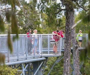 Biglietto d'ingresso per la passerella tra le cime degli alberi della costa occidentale