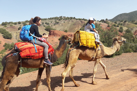 Marrakech: tour de 1 día a la cordillera del Atlas y pueblos