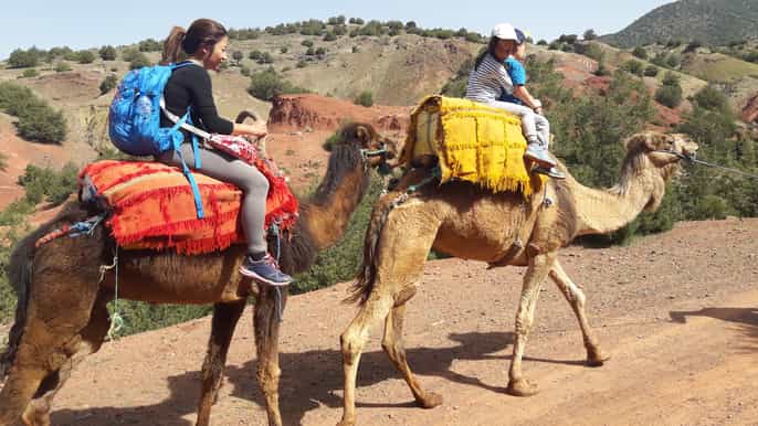marrakech day trip to atlas mountains and berber villages