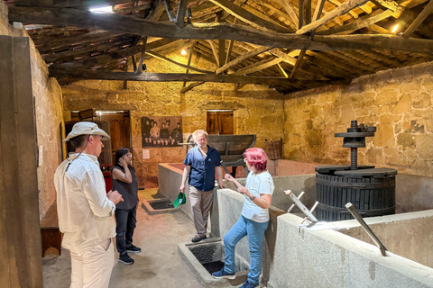 Douro Valley: Wine & Olive Oil Tour with Boat & Lunch Douro Valley: 2 Wineries, Boat Cruise & Traditional Lunch