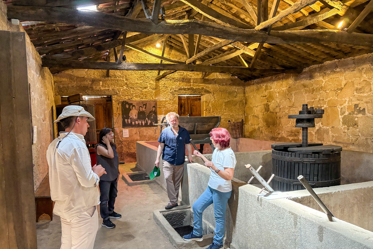 Douro Valley: Wine & Olive Oil Tour with Boat & Lunch Douro Valley: 2 Wineries, Boat Cruise & Traditional Lunch