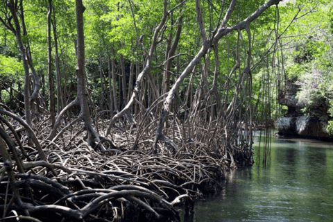 Hotel Cano Hondo : Pernoita e passeio de barco Los Haitises