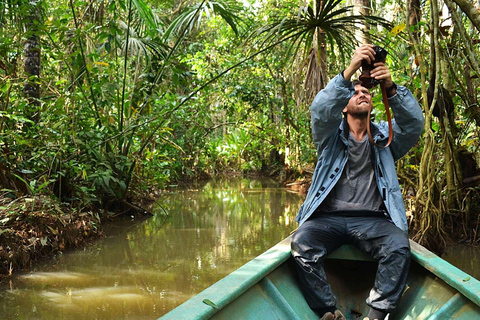 | 4 dagars utflykt till Tambopata med ayahuasca-ceremoni