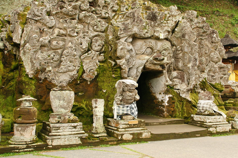 Bali: cascada, la cueva del Elefante y los campos de arrozOpción estándar privada