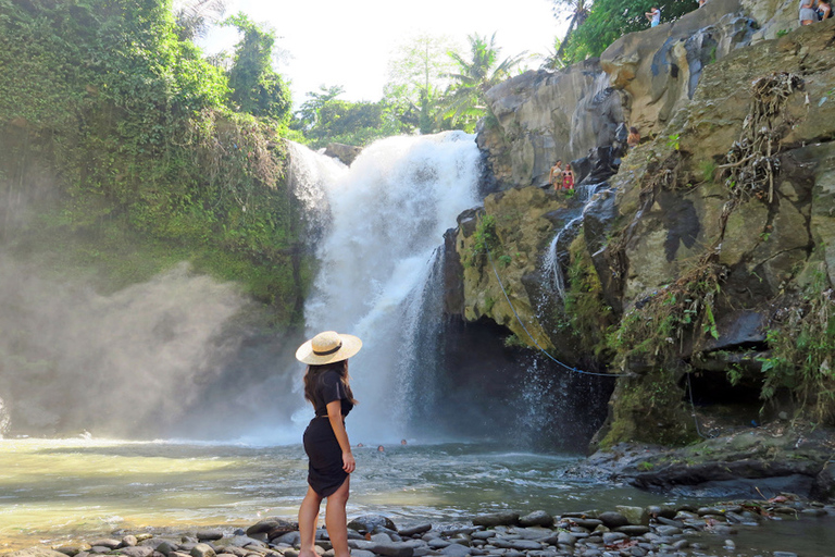 Il meglio di Bali centrale: Cascate, grotte degli elefanti e campi di risoOpzione privata premium