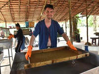 Ko Lanta Yai, een halve dag ethische olifanten heiligdom tournee - Housity