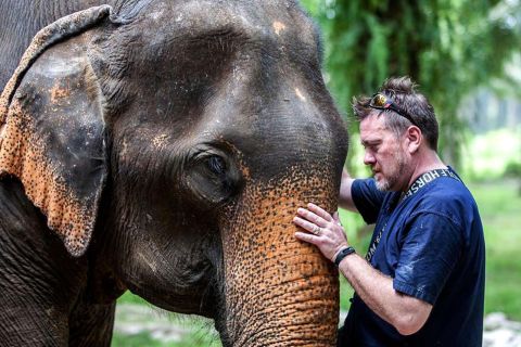 Ко Ланта Яй: тур на полдня по этическому заповеднику слонов