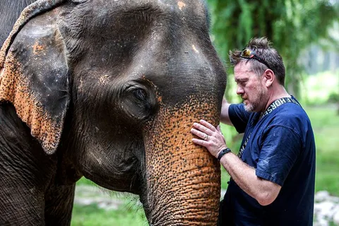 Ko Lanta Yai: Half-Day Ethical Elephant Sanctuary Tour