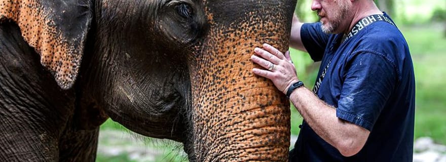 Ko Lanta Yai : visite d'une demi-journée dans un sanctuaire d'éléphants éthiques