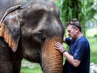Ko Lanta Yai, een halve dag ethische olifanten heiligdom tournee - Housity